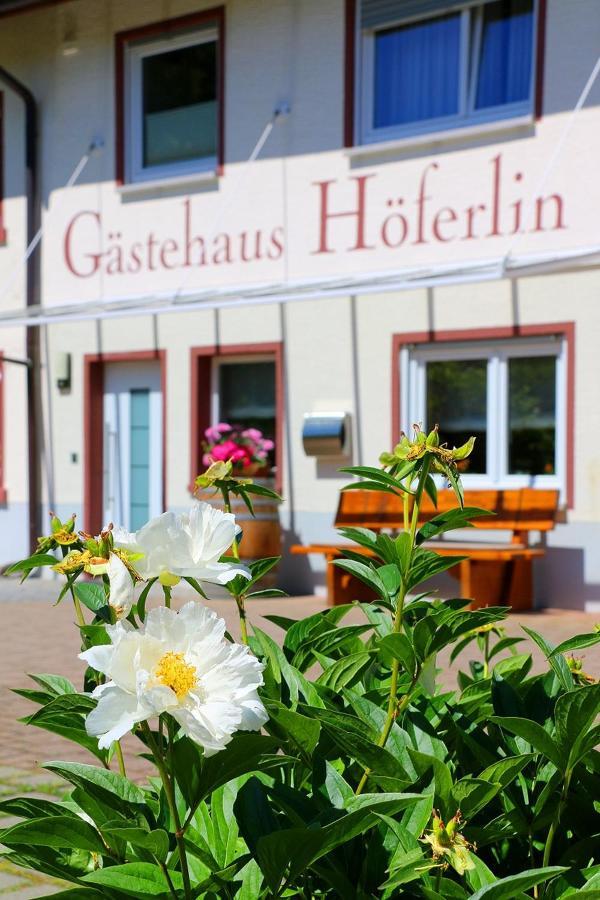 Gästehaus Höferlin Bad Bellingen Exterior foto
